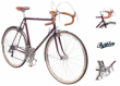 Pashley Clubman Country
